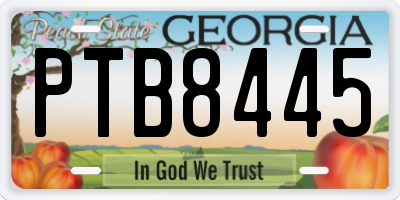 GA license plate PTB8445