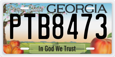 GA license plate PTB8473