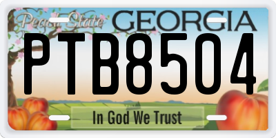 GA license plate PTB8504