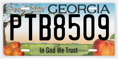 GA license plate PTB8509