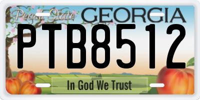 GA license plate PTB8512