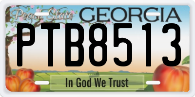 GA license plate PTB8513