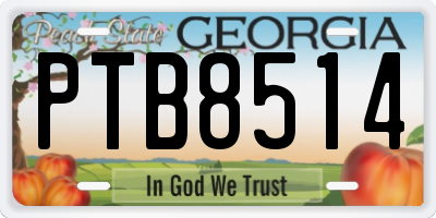 GA license plate PTB8514