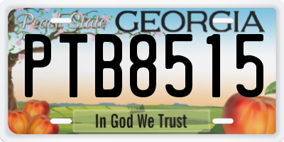 GA license plate PTB8515