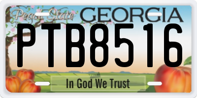 GA license plate PTB8516