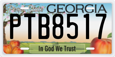 GA license plate PTB8517