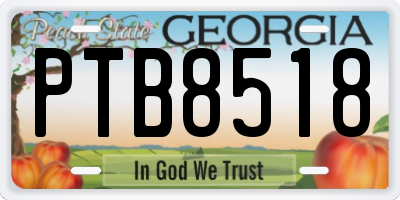 GA license plate PTB8518