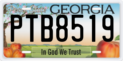 GA license plate PTB8519