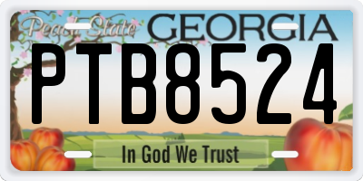 GA license plate PTB8524