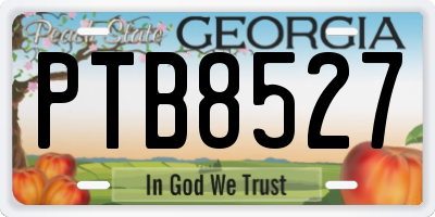 GA license plate PTB8527