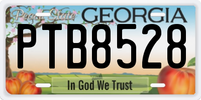 GA license plate PTB8528