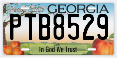 GA license plate PTB8529