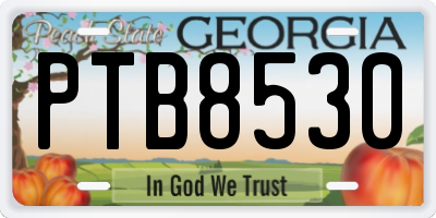 GA license plate PTB8530