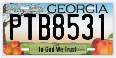 GA license plate PTB8531