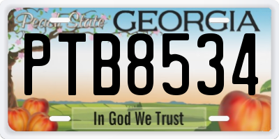 GA license plate PTB8534