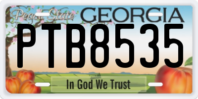 GA license plate PTB8535