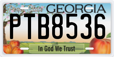 GA license plate PTB8536