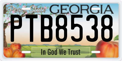 GA license plate PTB8538