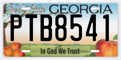 GA license plate PTB8541