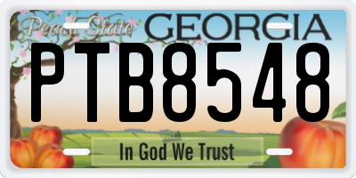 GA license plate PTB8548