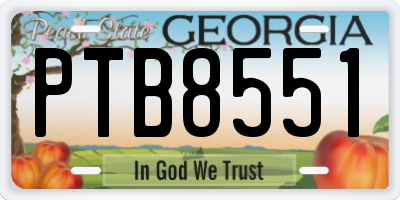 GA license plate PTB8551