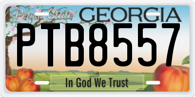 GA license plate PTB8557