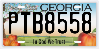 GA license plate PTB8558