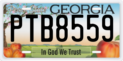 GA license plate PTB8559