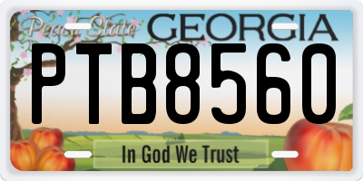 GA license plate PTB8560