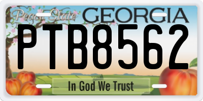 GA license plate PTB8562