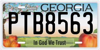 GA license plate PTB8563