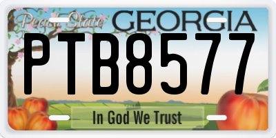 GA license plate PTB8577