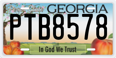 GA license plate PTB8578
