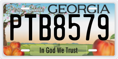 GA license plate PTB8579