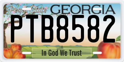 GA license plate PTB8582