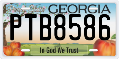 GA license plate PTB8586