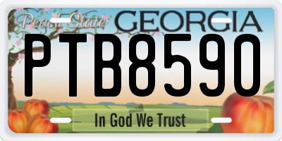 GA license plate PTB8590