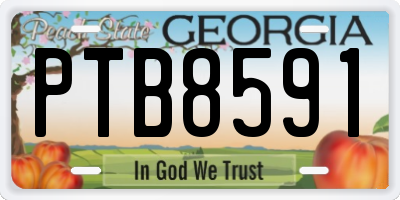 GA license plate PTB8591