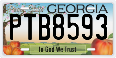 GA license plate PTB8593