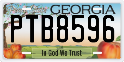 GA license plate PTB8596