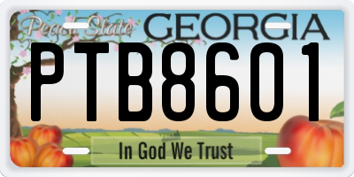 GA license plate PTB8601