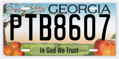 GA license plate PTB8607