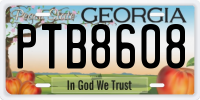 GA license plate PTB8608
