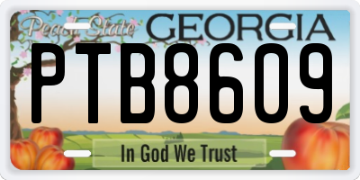 GA license plate PTB8609