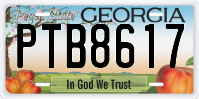 GA license plate PTB8617