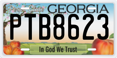 GA license plate PTB8623