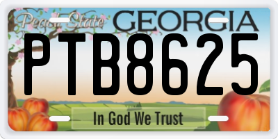 GA license plate PTB8625
