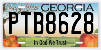 GA license plate PTB8628