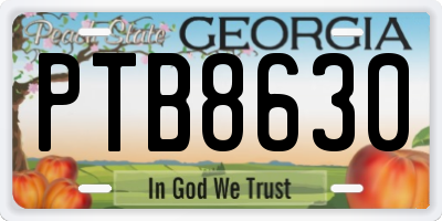 GA license plate PTB8630