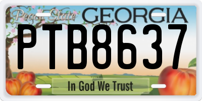 GA license plate PTB8637